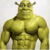 mr.cotei