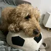 martinoker