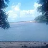 nilzaadrianauruna