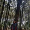 rudiansyahjr620