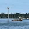 lakenormanfoodie