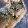 uservqii90x7wl0