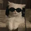 acarollkkjkj