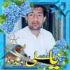 shahzadanwargondal