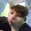 rhayanguterres