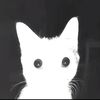 who.iz.u3