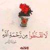user30559622414