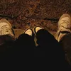 d.t_zhh