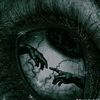 josue.exex