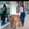 yuraniandreauscat6