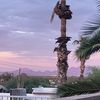 anthonyviz_