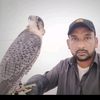 mohamedfiaz950