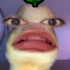 sandiauliasafitri7