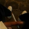 junior__lema