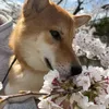 userp46kz3kthv