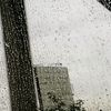 rind_996