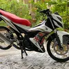 chien256311