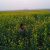 sumonasumona850