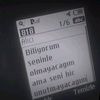 aysu_6828