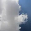 ola_006666