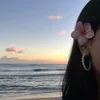 marisssw58