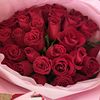 solnce_8888