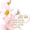 tasharehmani169