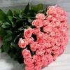 alhamdulillah_2107