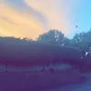 brysspamacc1