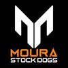 mourastockdogs