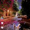 shaimaaabdo310