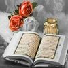 ommfedi170