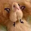 nah_i.am.lost