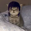 crispim_exe
