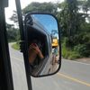 mrfara19