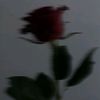 8u179