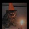 eliseo_a