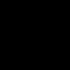 mian12491