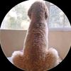 jeremy_bax