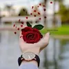 soumiazouak716