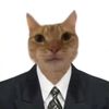 casfedor7