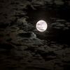 luna25_261