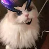 lemonthree_1
