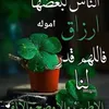user2478420960042