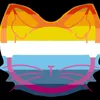gatos_lunares