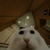 meowvro