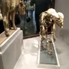 usertynmlaj6m0
