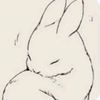 lyly...xd