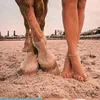 ❤cavalos❤