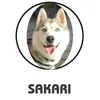 sakari_husky